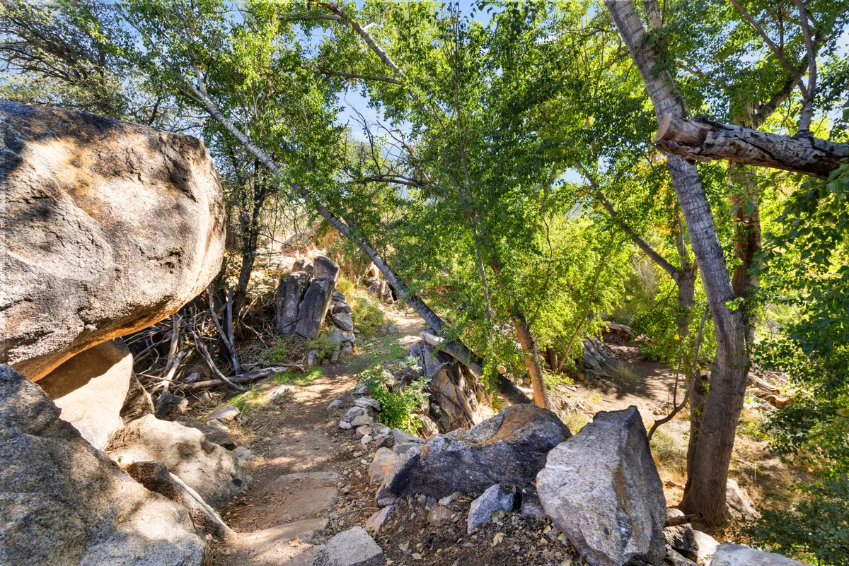 A winding path snakes through dense greenery and large boulders, inviting exploration and offering opportunities for wildlife observation and stunning photography. The serene mood underscores the peacefulness of the surrounding area.