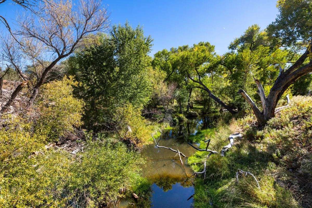 A picturesque view of a meandering creek bordered by lush greenery and sun-drenched trees. The landscape feels secluded and serene, inviting exploration, nature walks, and quiet moments of reflection.